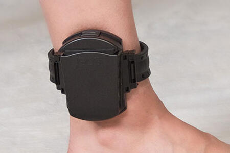 GPS Monitor Greensboro GPS Monitor